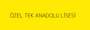 ÖZEL TEK ANADOLU LİSESİ